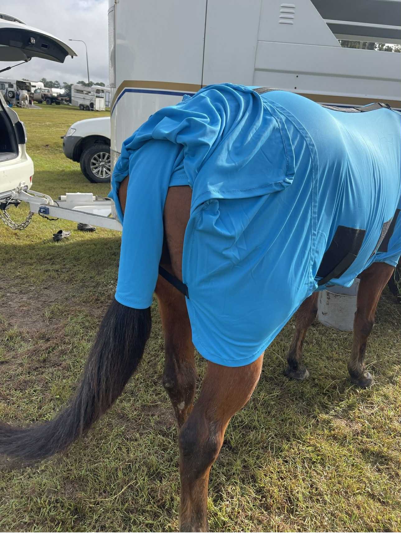 Vibrant Azure Blue - Horse Onesie by Harlington Rose