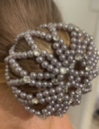 Crystal Pearl Hair/Bun Net